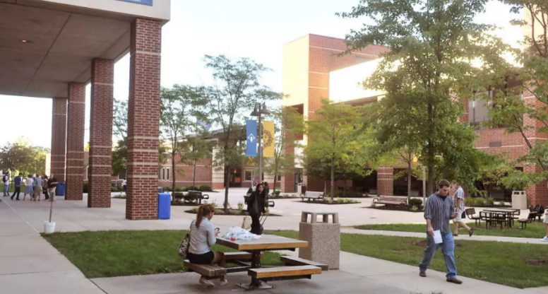 ������ѧ֮������ѧ���ص�