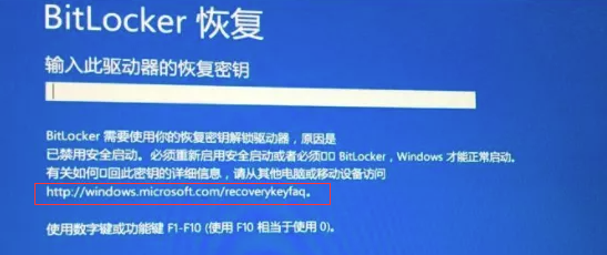 ������ʾBitlocker�ָ�������ָ���Կ��ν��