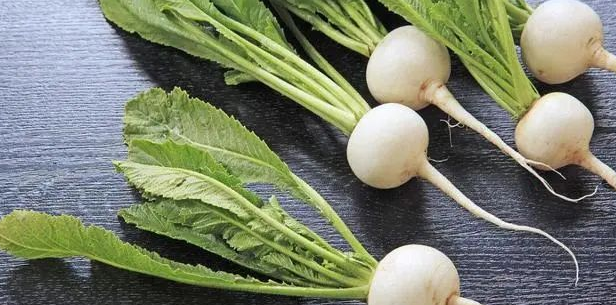 Ӫ��ʦ���飺��ǿ������������ʳ������Щ��