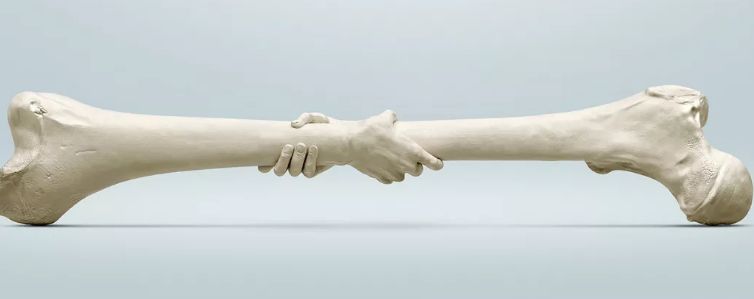 ƽ������ƵĹ�ͼ��ʽ����