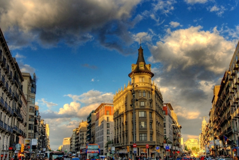 ������������ѧǰרҵ�����ѡ��