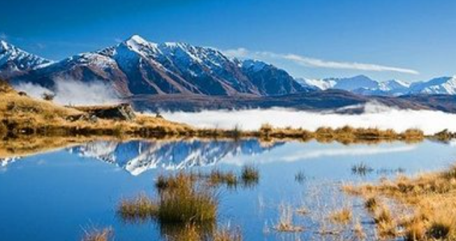 ��Ҫ������ѧ�ǲμ���˼���Ի����и�����