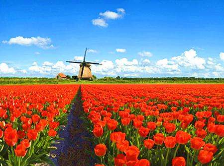 �и������Ķ����Ѿ����������ũҵΣ��