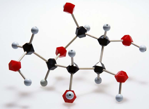 ����Ա�в⿼��֮��ѧ������ص�֪ʶ