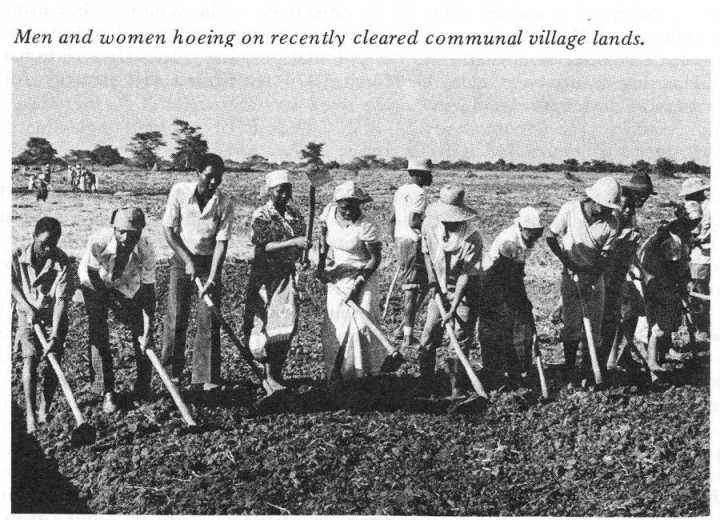 ��ʷרҵ�����ص�ѧϰ��������ŷ������������˶�