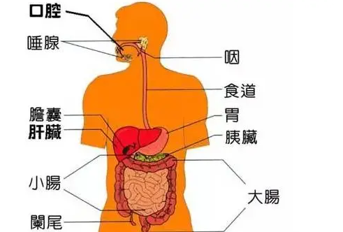 Ӫ��ʦ����������Ŵ�ϵͳ����ʶ