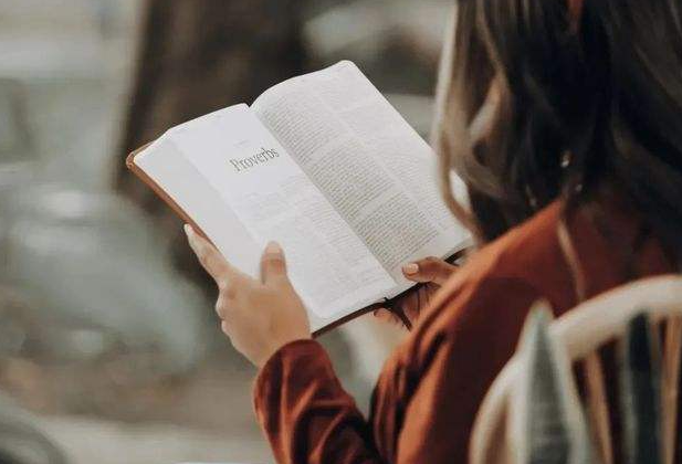 ������ʦ�ʸ����е���������