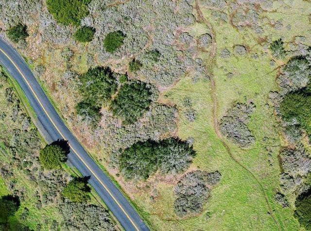 �������輶����������������������