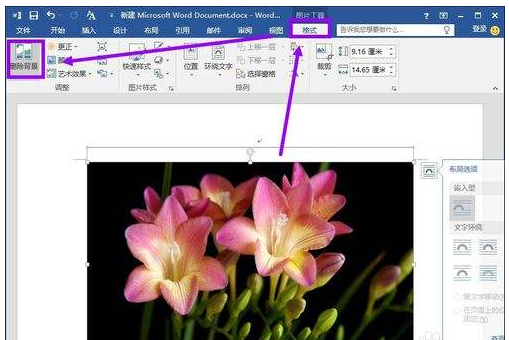 商务办公培训用Word抠图更换照片背景色