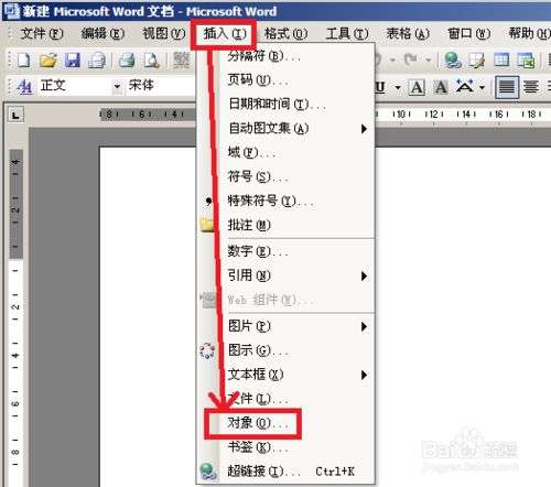 办公学习之Word插入动画/视频