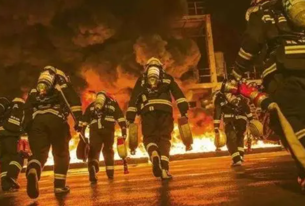 ����������֤�����ﱨ�� ��Ҫʲô����