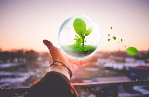 碳排放管理师证书有效期几年 需要年审吗
