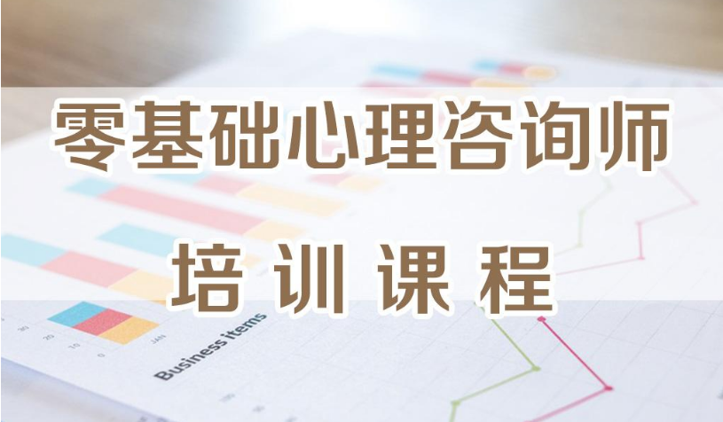 ����������ѯʦ��ѵ��������