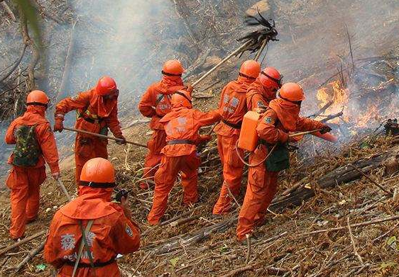 ��������֤��ô��ȡ��Ҫʲô����