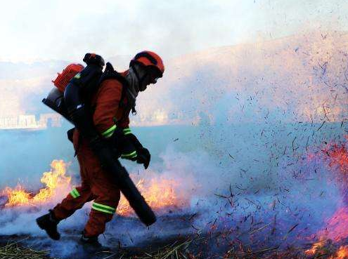 ��������֤��ô��ȡ��Ҫʲô���� ����������