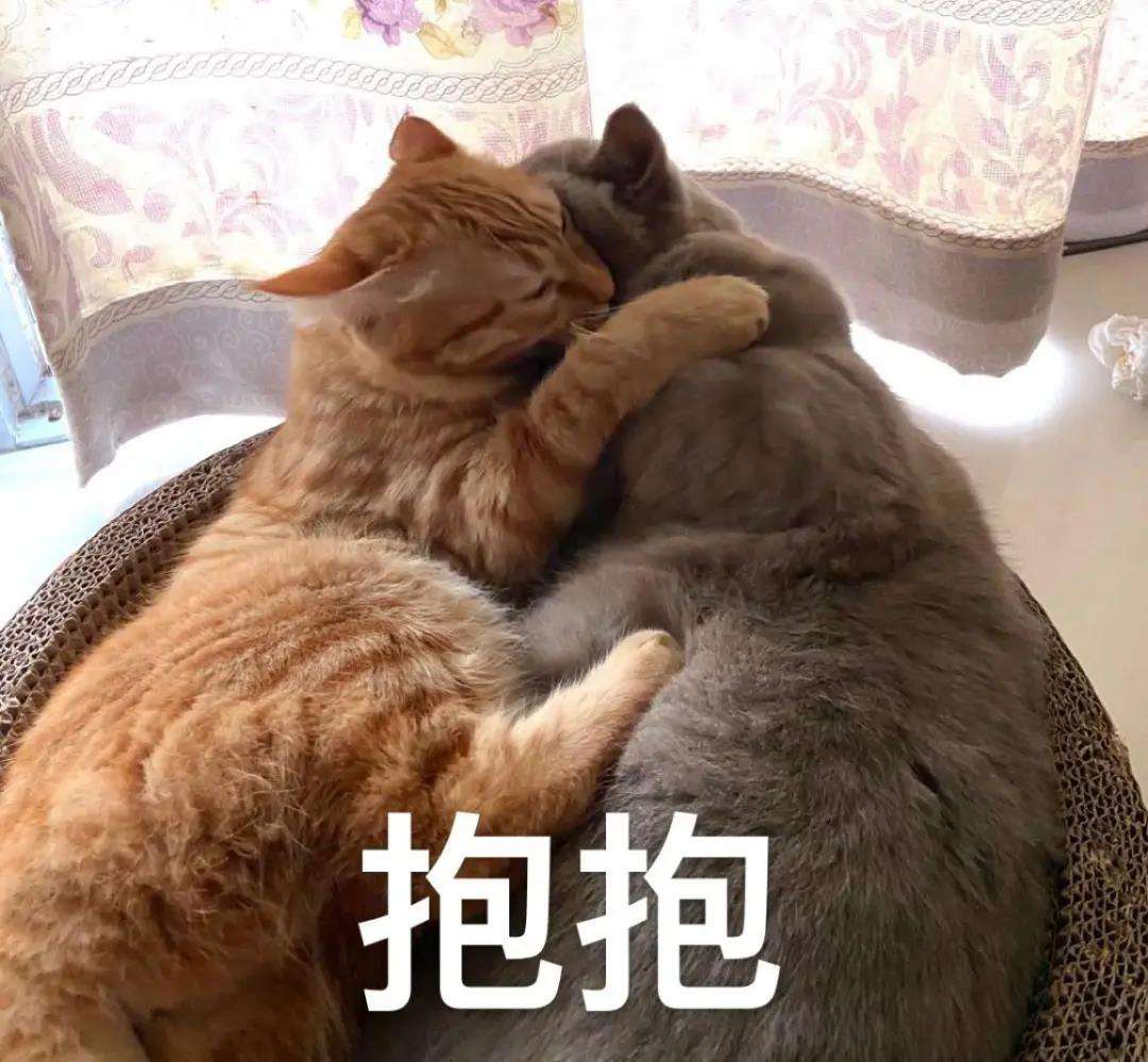 ������ѯʦ������ѵ�γ������У�Խ�翼���Լ�Խ�ã�