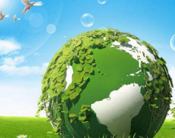 ̼�ŷŹ���ʦ��������Ǯ ��Ҫ�ķ�������Щ
