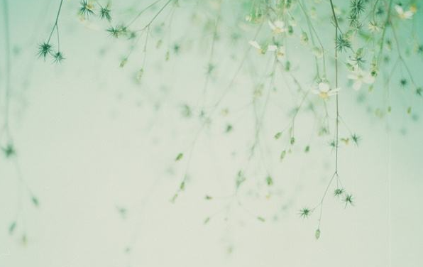 �㽭ʡ���ܿ�������������