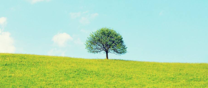 �м�����ʦ���Է�ʽ