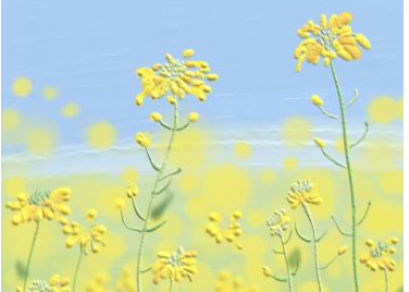 �м�����ʦ���ƶ��ٷּ��� �ɼ�������