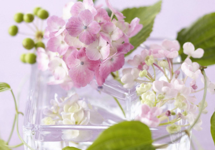 2022���м�����ʦ�����Ϳ���ʱ�䰲��