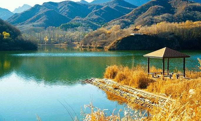 ̼�ŷŹ���Ա���Կ�Ŀ��ϸ ����ʲô����
