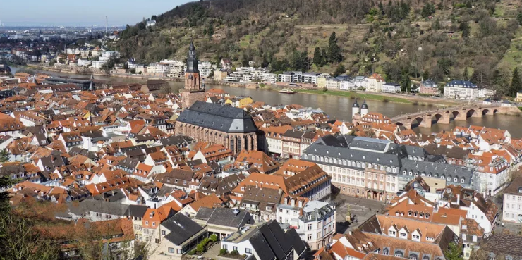 �¹���ѧ������ͬѧ����������������Щ��