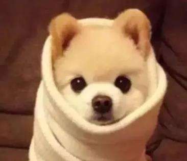 �����ɹ��ˡ��÷���ԭ����ô˵