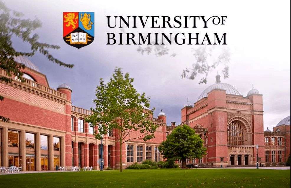 ����Ӣ����������ѧ����Щ��ѧ����