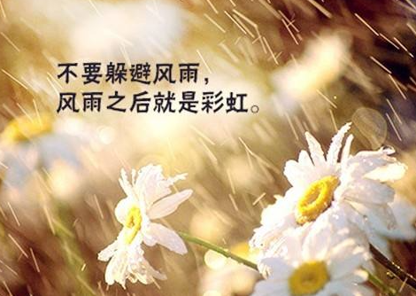 2022������ϰ��걨��ʱ�� ���¼��ſ���