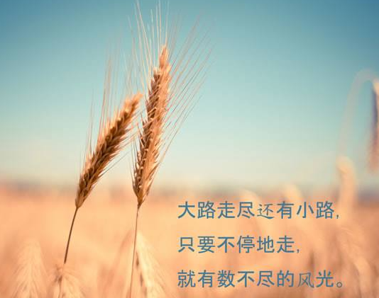 中学音乐教师资格证面试考什么