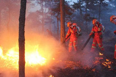 �м�����֤����������ʲô