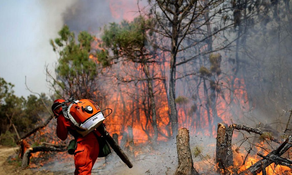 �������רҵ��ָ��ʲôרҵ