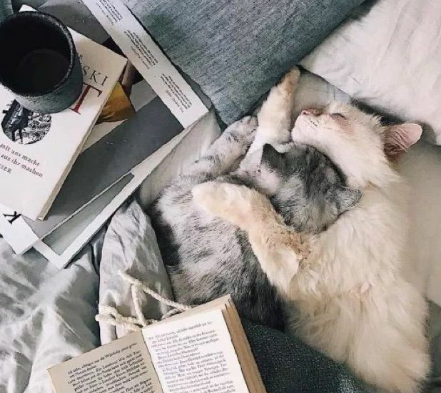 ������Ա�Ļ���Ҫ��