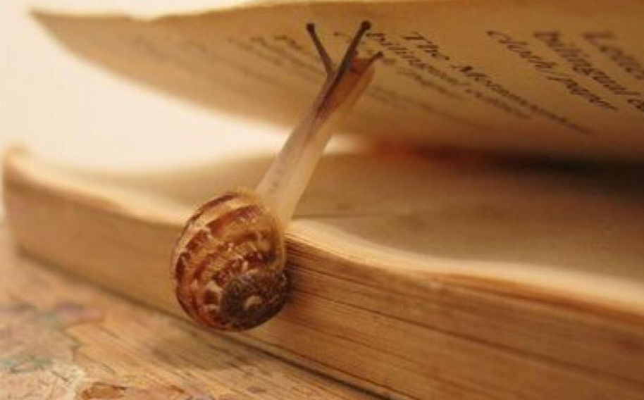 ȫ��2022��������ʦ����ʱ�估��ڻ���