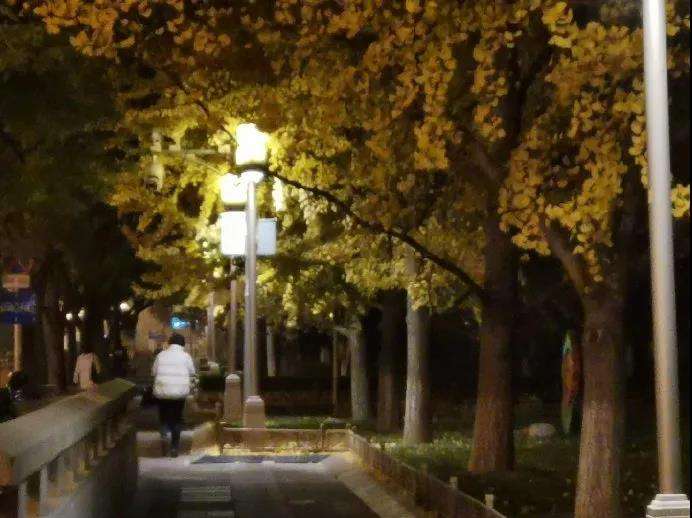 Ϊʲô�ж����������ȴ��Ϊ��������ר�ң�