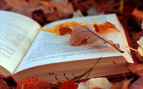 ����Ա�в⿼���йŵ佨��֪ʶ������