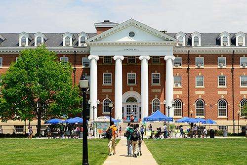 ����������У����Ű�����ʲô