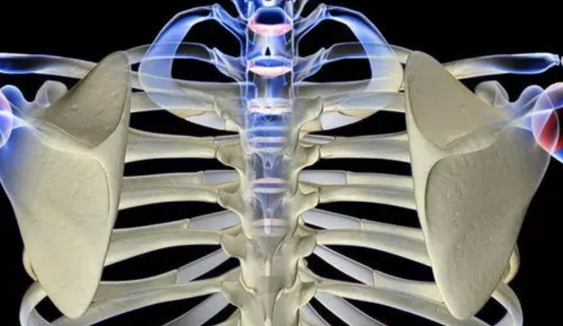 ��������������ѵ��