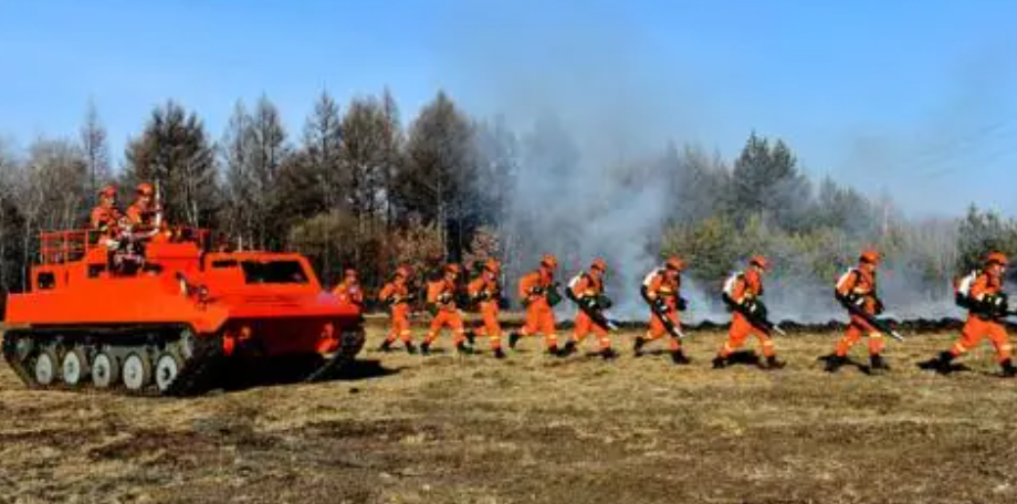 ����֤�麬�������� ֵ�ÿ���