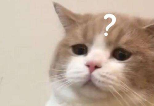 ����������ѵ�����ȥ��˾����������