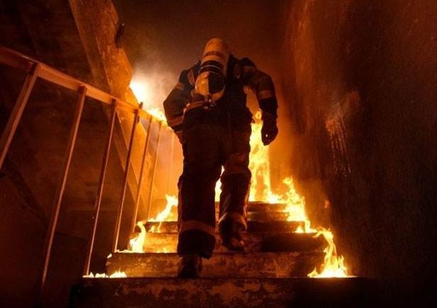 ����֤��ô���� ����������ʲô