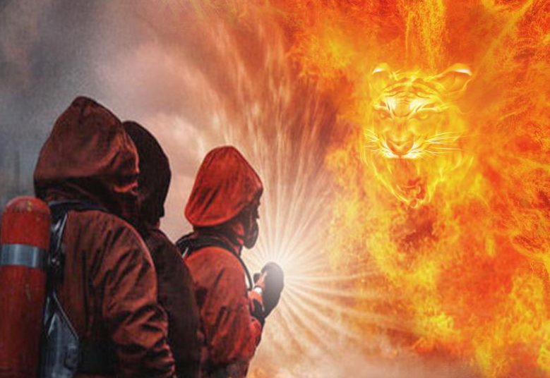 �м�����֤���м�ְ����