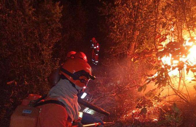 һ���Ͷ����ĸ��ÿ���ʲô����