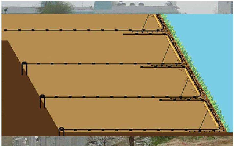 ��������ʦѧϰ�¼ӽ����ṹ�ص�����Щ