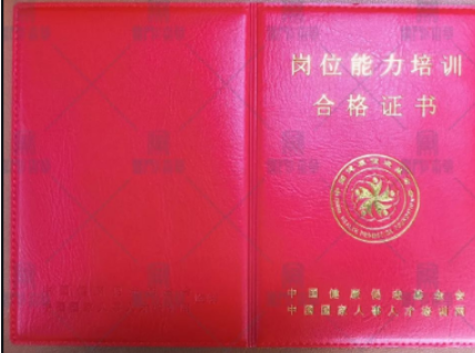 ��ҽ��������ʦ����ѵ��������Щ