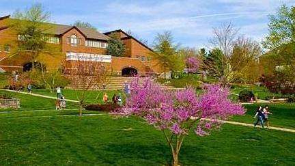 ȥ���ô���ѧѧϰʯ��רҵ����Щ�õ�ԺУ