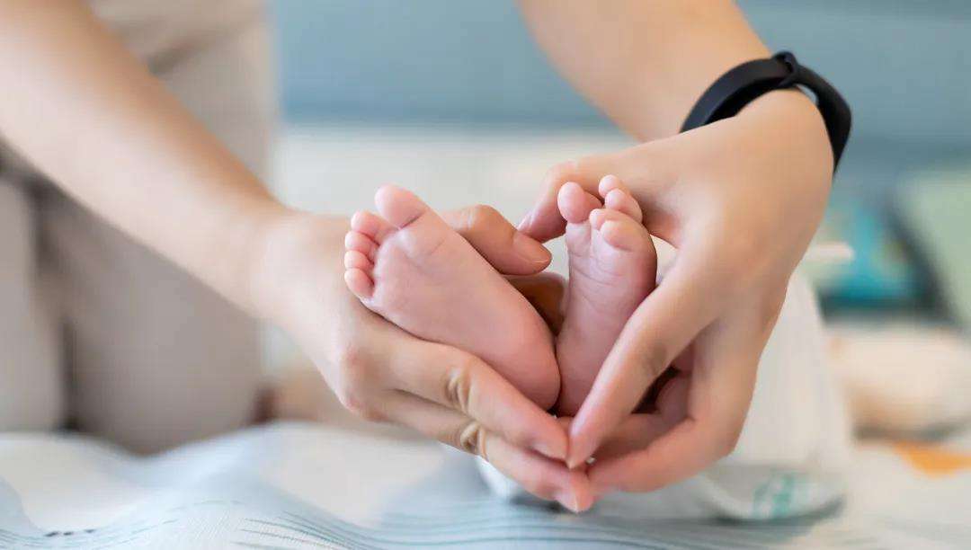 ����ȫ���˽���Ӥʦ���ְҵ