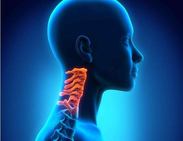 ��׵��������������