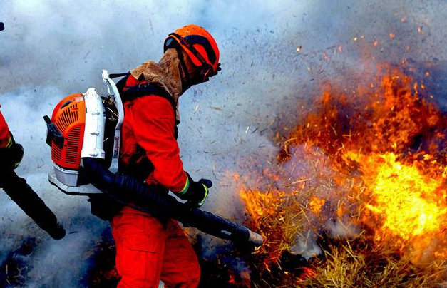 һ����������ʦ�ļ���ѵ�������� ��ôѡ��